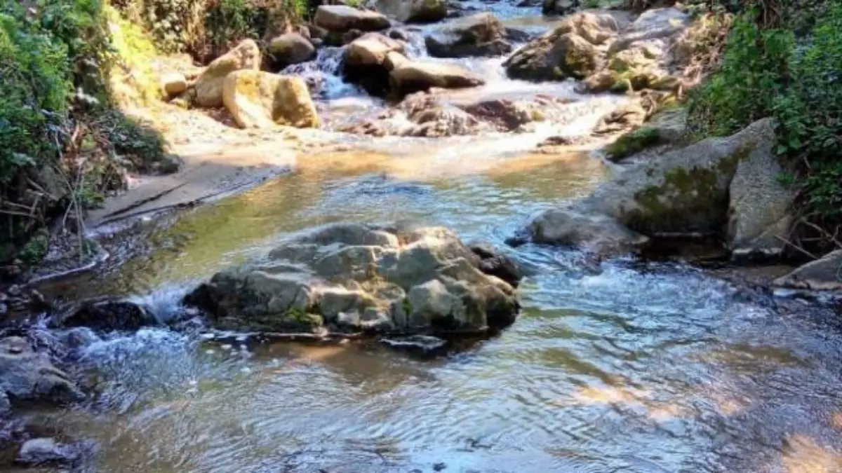 Ricadi: al museo paleontologico si parlerà dell'acqua, linfa vitale da proteggere