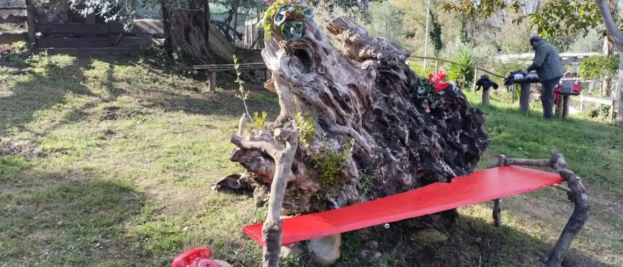 Vibo, “La goccia” inaugura la panchina rossa dedicata alle vittime di violenza
