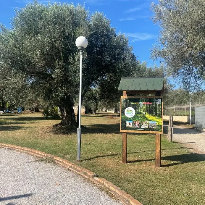Vibo, nel Parco urbano nasce un punto di informazione e accoglienza