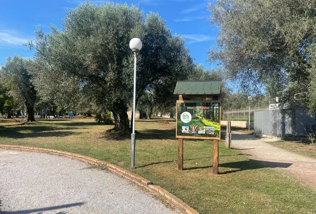 Vibo, nel Parco urbano nasce un punto di informazione e accoglienza