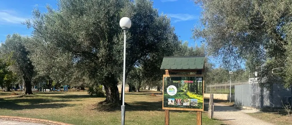 Vibo, il parco urbano pronto a trasformarsi in un villaggio dello sport e del benessere