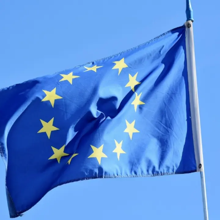 L'Europa svolta a destra, dalla Germania alla Francia avanzano i nazionalisti: chi sono e perché conquistano consenso\n