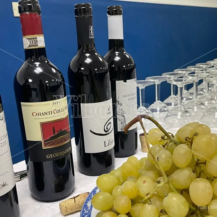 San Calogero, al via le iscrizioni per il seminario enogastronomico \"La Calabria e il vino\"