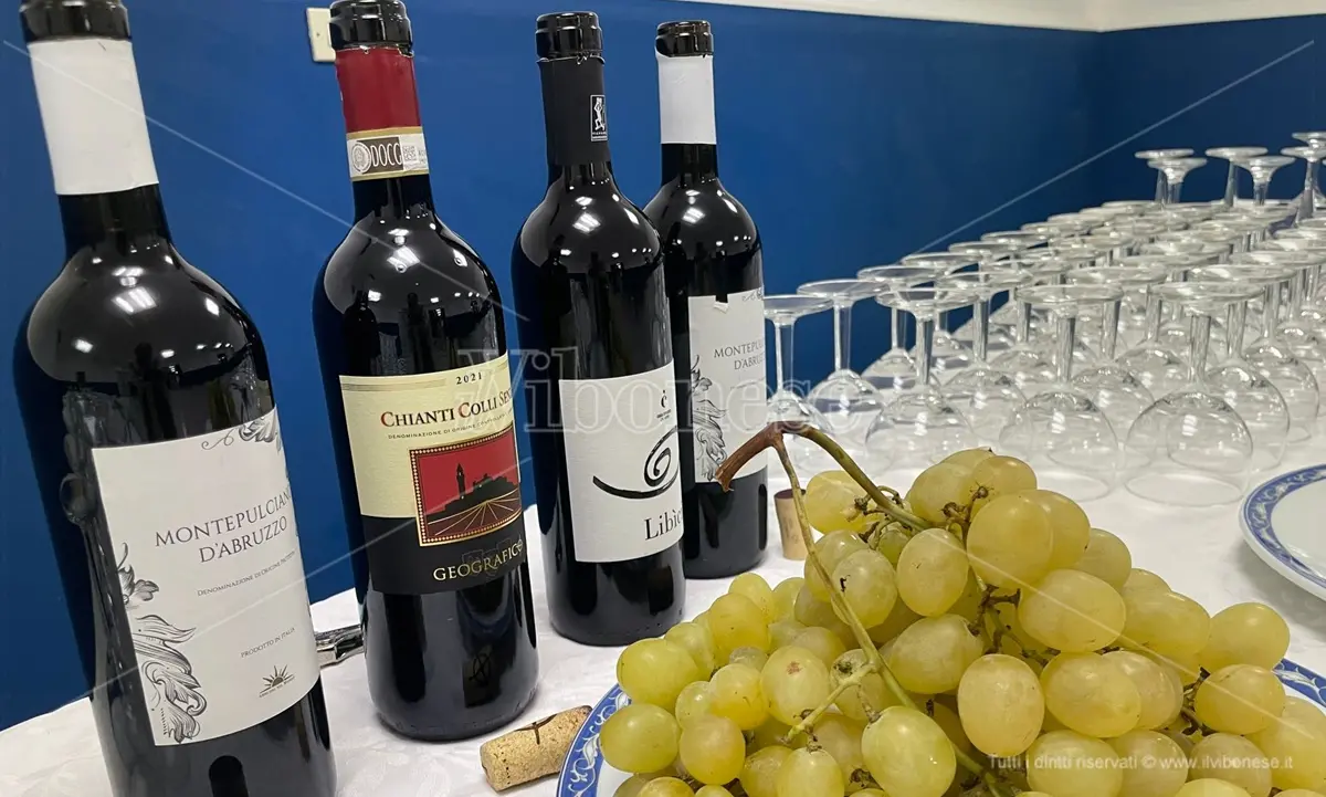 San Calogero, al via le iscrizioni per il seminario enogastronomico \"La Calabria e il vino\"