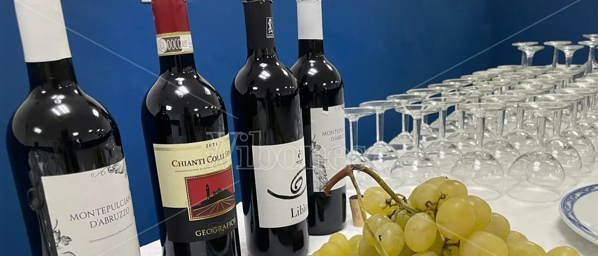 San Calogero, al via le iscrizioni per il seminario enogastronomico \"La Calabria e il vino\"