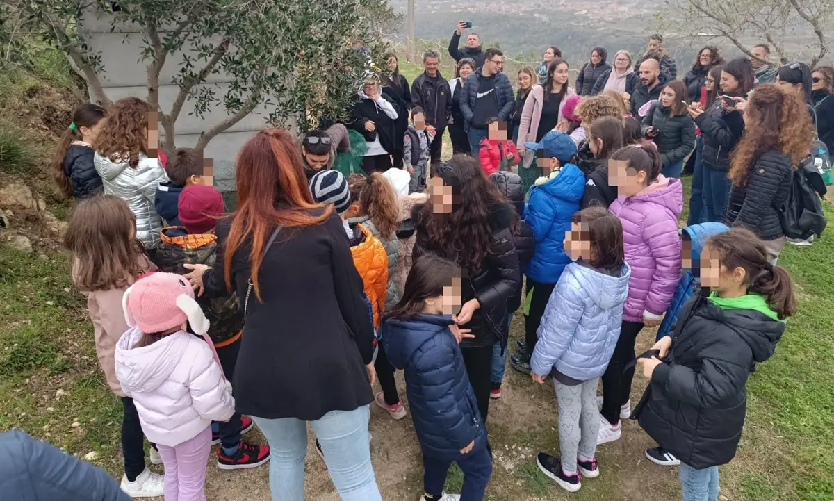 A Brattirò il tour esperienziale alla scoperta del mondo dell’olio