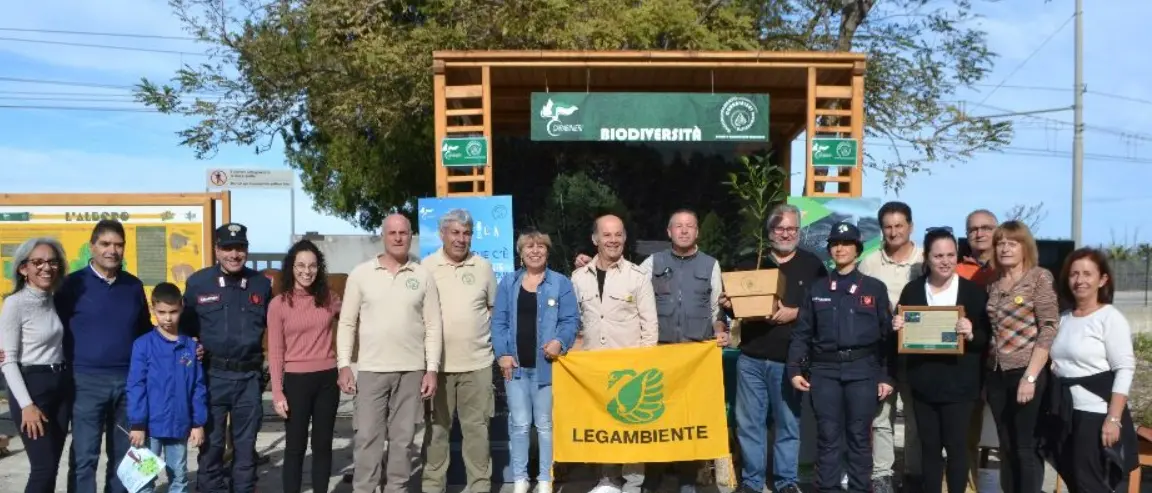 Ricadi, i piccoli studenti protagonisti della Festa dell’albero a Santa Domenica