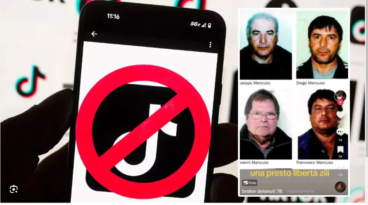 ‘Ndrangheta: \"profilo TikTok inneggia ai boss del Vibonese\", è polemica
