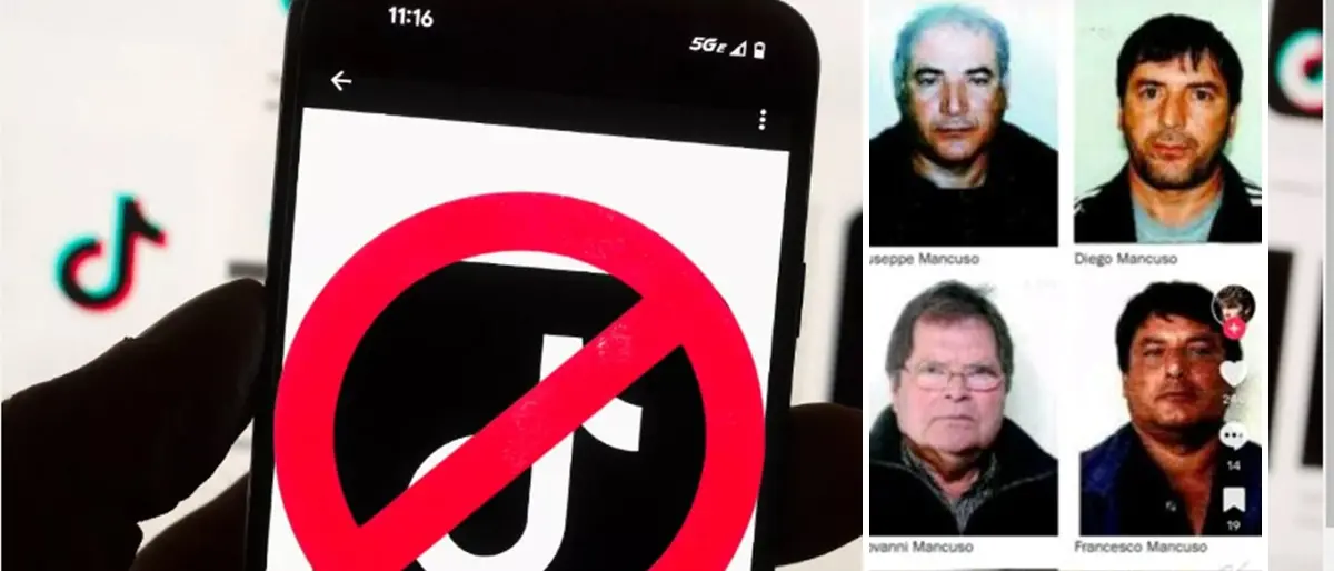 ‘Ndrangheta: \"profilo TikTok inneggia ai boss del Vibonese\", è polemica