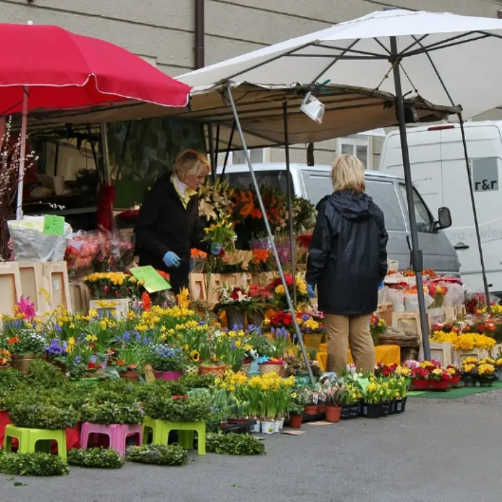 Torna “ViboFiorArt”, tutto pronto per la manifestazione dedicata ai fiori e all’artigianato