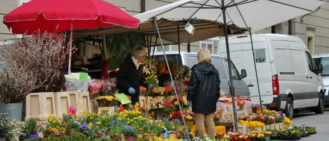 Torna “ViboFiorArt”, tutto pronto per la manifestazione dedicata ai fiori e all’artigianato