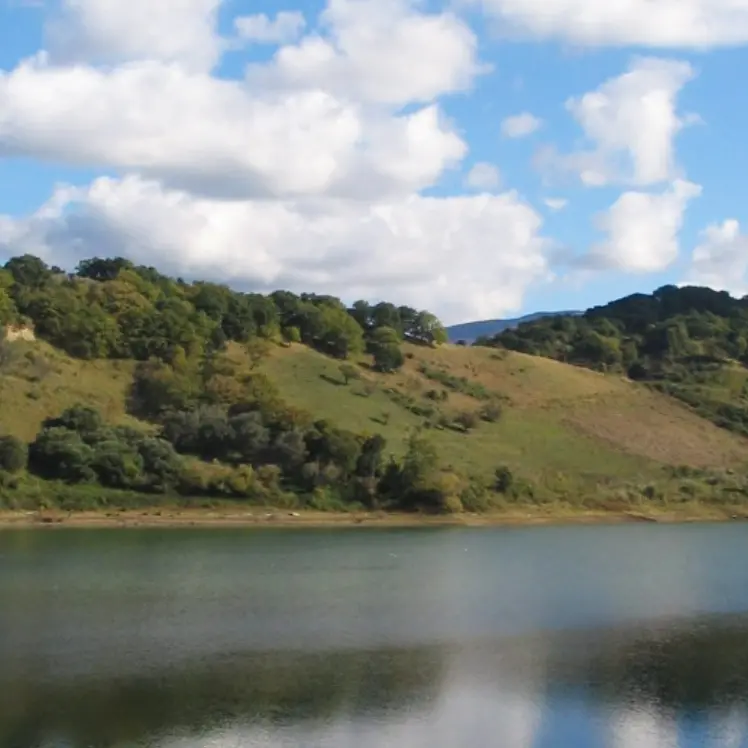Quarant’anni di impegno a favore dell’ambiente, il Wwf Vibo celebra la festa delle oasi sul lago Angitola