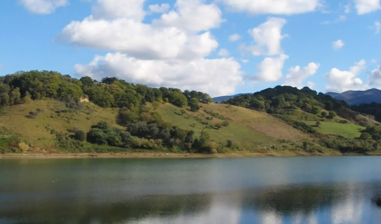 Quarant’anni di impegno a favore dell’ambiente, il Wwf Vibo celebra la festa delle oasi sul lago Angitola