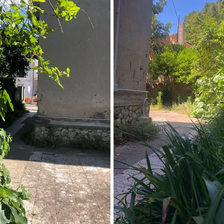 Vibo Marina, De Pinto: «Guardia medica nel degrado, per raggiungerla bisogna attraversare una giungla di erbacce»