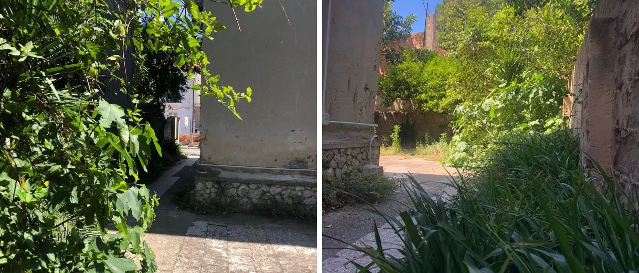 Vibo Marina, De Pinto: «Guardia medica nel degrado, per raggiungerla bisogna attraversare una giungla di erbacce»