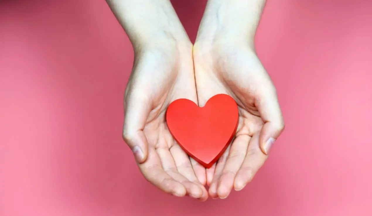 Donazione degli organi, l’Asp di Vibo al lavoro per la redazione del regolamento