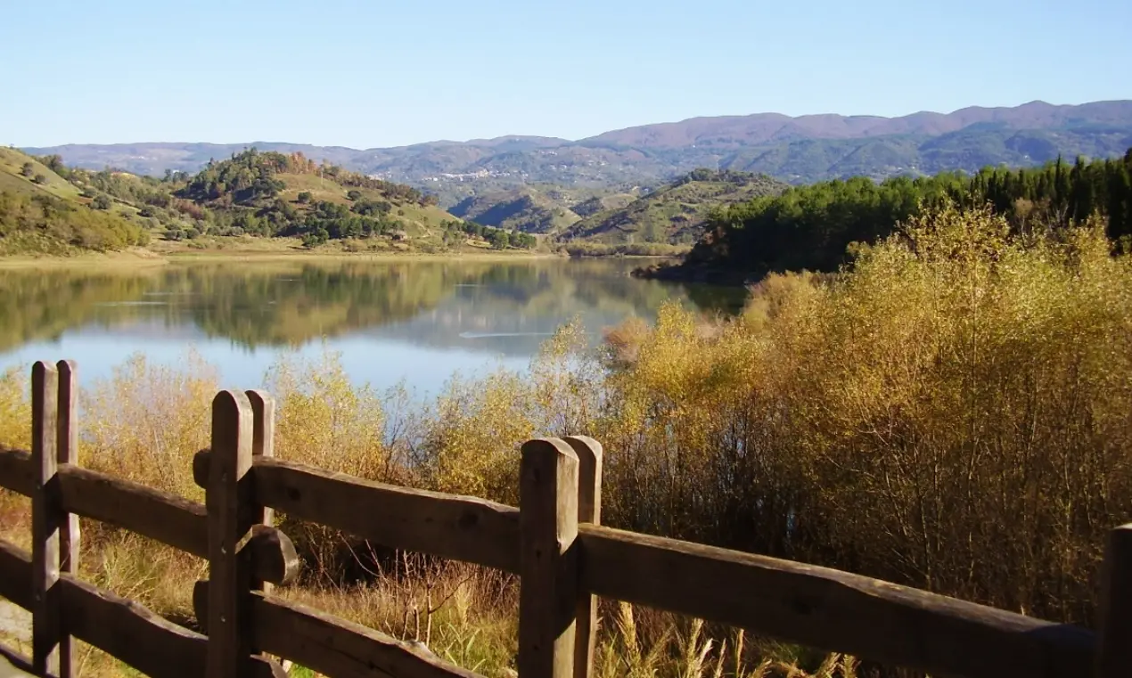 Scrigni di biodiversità, viaggio nell’oasi del lago Angitola. Galasso (Wwf): «Luogo unico da tutelare»