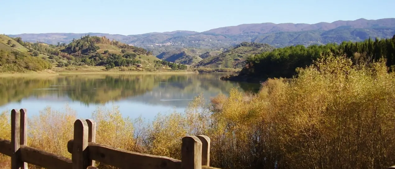 Scrigni di biodiversità, viaggio nell’oasi del lago Angitola. Galasso (Wwf): «Luogo unico da tutelare»