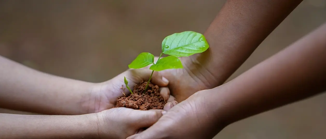 “Puliamo il mondo”, a Brognaturo gli studenti protagonisti della giornata green