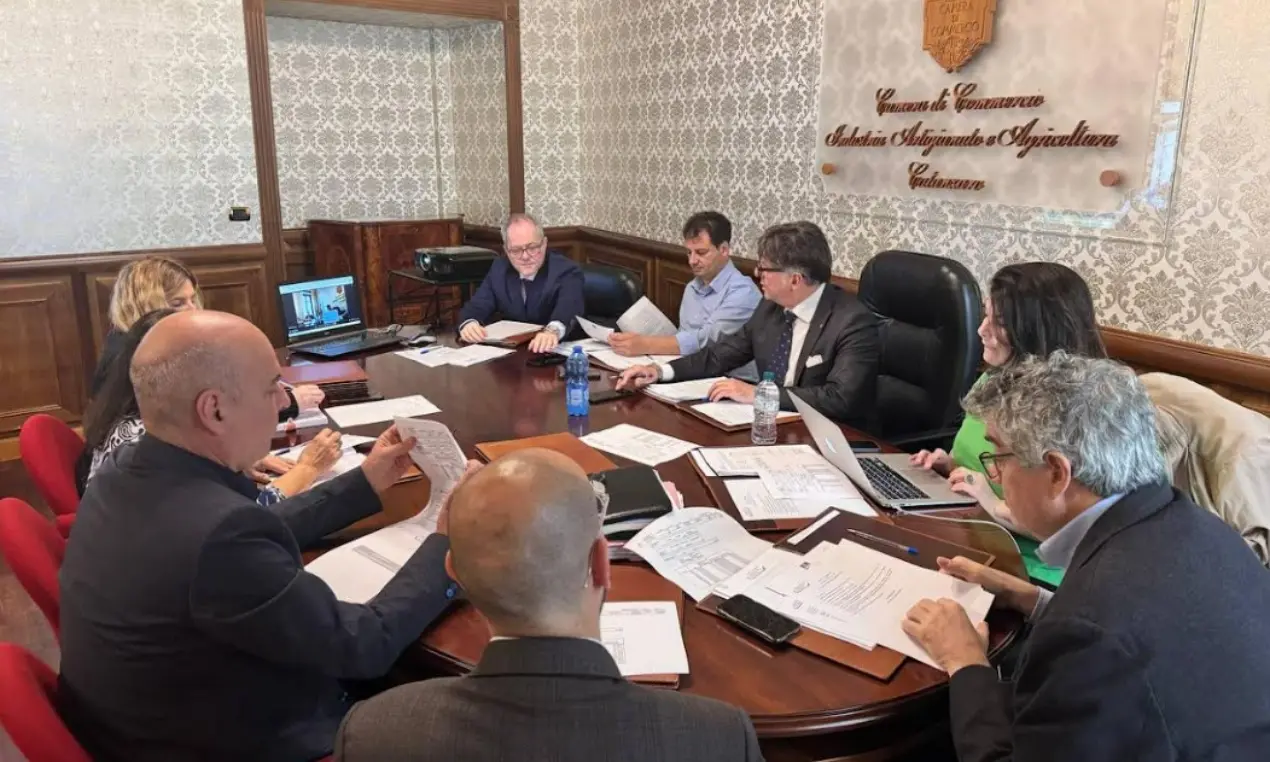 Camera di commercio Catanzaro, Crotone e Vibo: la giunta approva il bilancio consuntivo