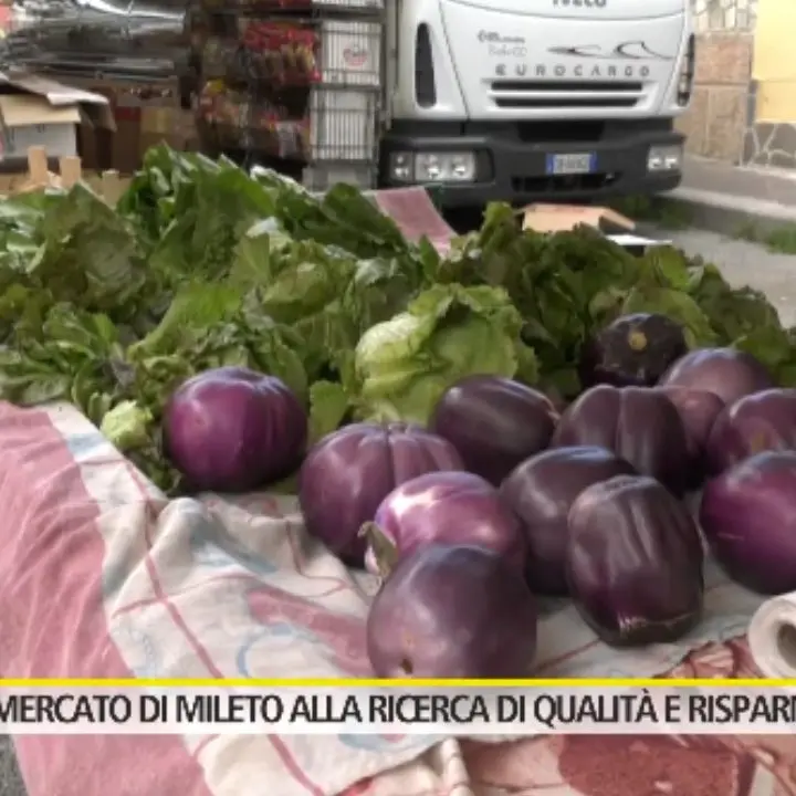 Tra le bancarelle del mercato rionale di Mileto che resiste a crisi e supermercati: «Favoloso e antico» - VIDEO