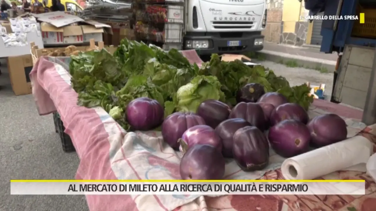 Tra le bancarelle del mercato rionale di Mileto che resiste a crisi e supermercati: «Favoloso e antico» - VIDEO
