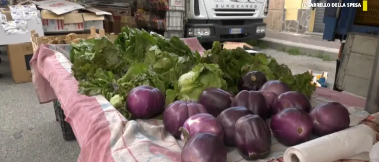 Tra le bancarelle del mercato rionale di Mileto che resiste a crisi e supermercati: «Favoloso e antico» - VIDEO