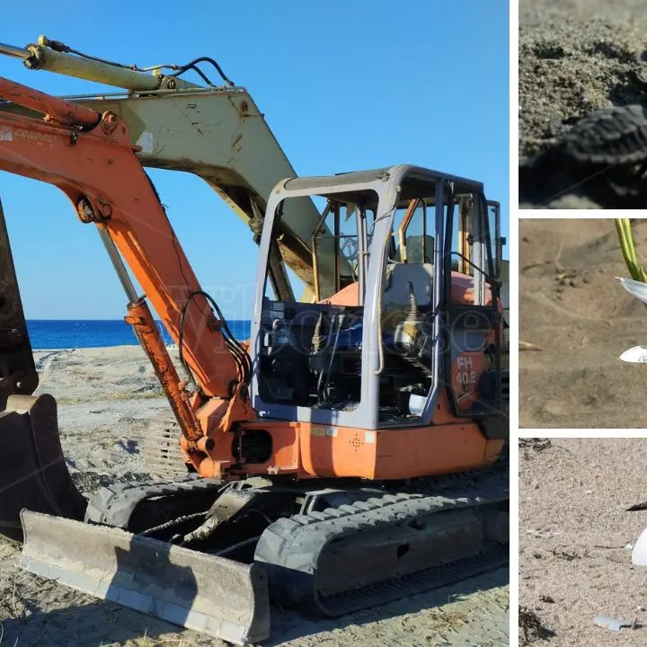 Ruspe schiaccia-tutto sulle spiagge, l’appello di Paolillo (Wwf Vibo): «Pulire così è un crimine contro la natura»