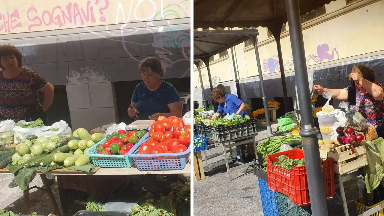 Vibo, mercato coperto… sotto al sole. Le polemiche si placano a metà: «L'assessore ci ha tranquillizzati, vedremo»