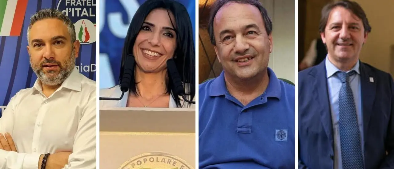 Europee, ecco i calabresi che vanno a Bruxelles: eletti Princi (Fi), Nesci (Fdi), Lucano (Avs) e Tridico (M5s)