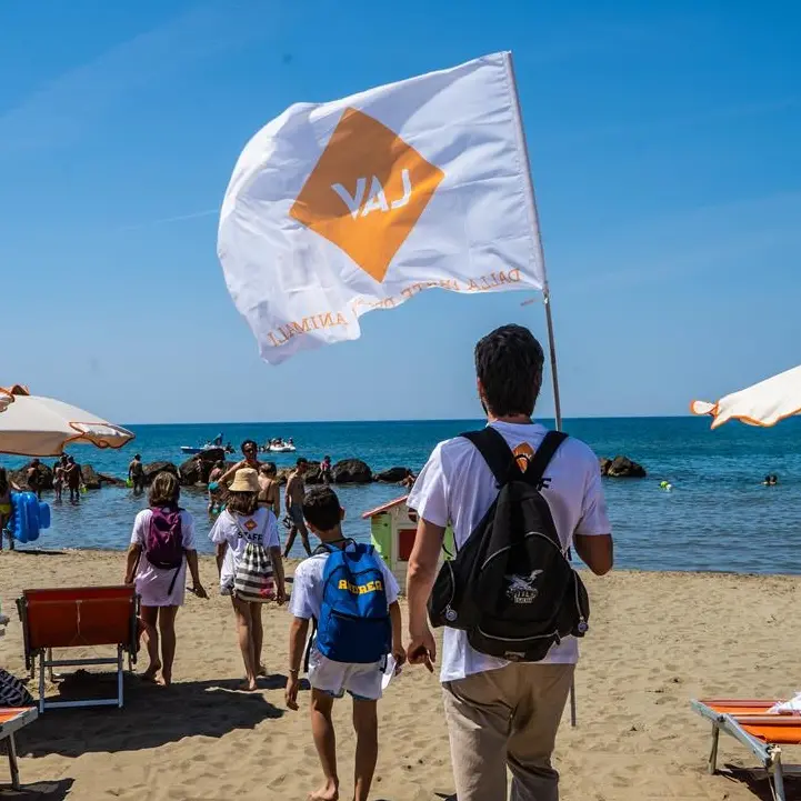 Parghelia è \"Dalla parte degli animali\": torna l'appuntamento con la Lega antivivisezione di Vibo per la tutela animale e del Pianeta