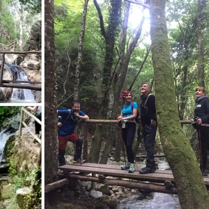 Dalla Certosa all’Aspromonte, la nuova escursione dell’associazione “Vivi Serra San Bruno”