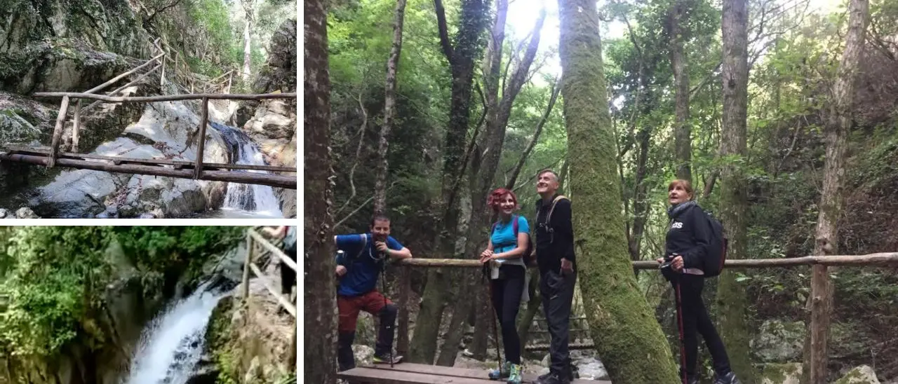 Dalla Certosa all’Aspromonte, la nuova escursione dell’associazione “Vivi Serra San Bruno”