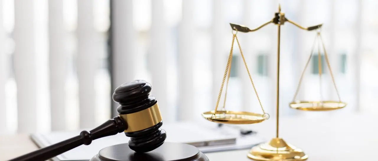 'Ndrangheta in Emilia Romagna, chieste 22 condanne nel processo Radici: tra gli imputati anche un uomo considerato vicino al clan Mancuso