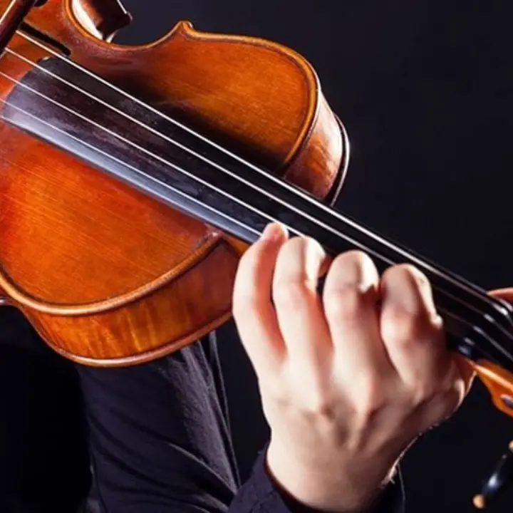 Vibo, presentata la nuova Stagione concertistica: «Un’occasione per i talenti musicali andati via di tornare ed esibirsi in città»