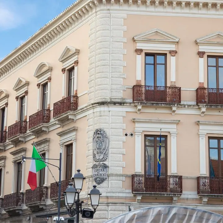 Catanzaro, via libera al bilancio della Camera di Commercio:\u00A0«Confermata la solidità della gestione economica»\n
