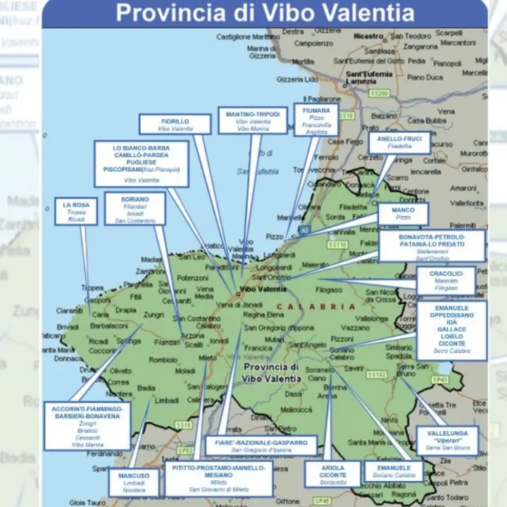 'Ndrangheta, la geografia delle cosche nel Vibonese secondo la Dia: Mancuso egemoni, ecco gli altri clan dalle Serre alla costa