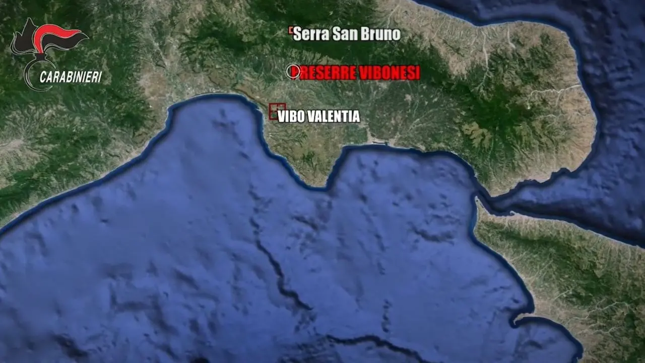 Strage di Ariola, i killer 20enni per il massacro nelle Preserre vibonesi e le “indagini” del pentito Loielo per trovare i colpevoli