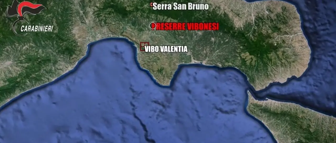 Strage di Ariola, i killer 20enni per il massacro nelle Preserre vibonesi e le “indagini” del pentito Loielo per trovare i colpevoli