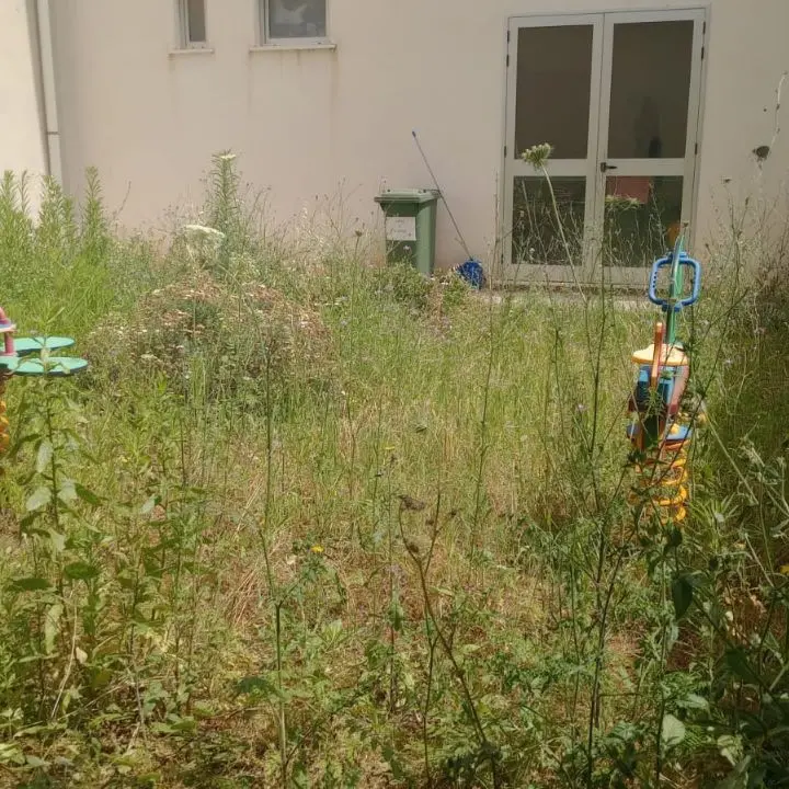 Ricadi, cortile della scuola invaso da erbacce: la recita di fine anno si fa stipati al chiuso