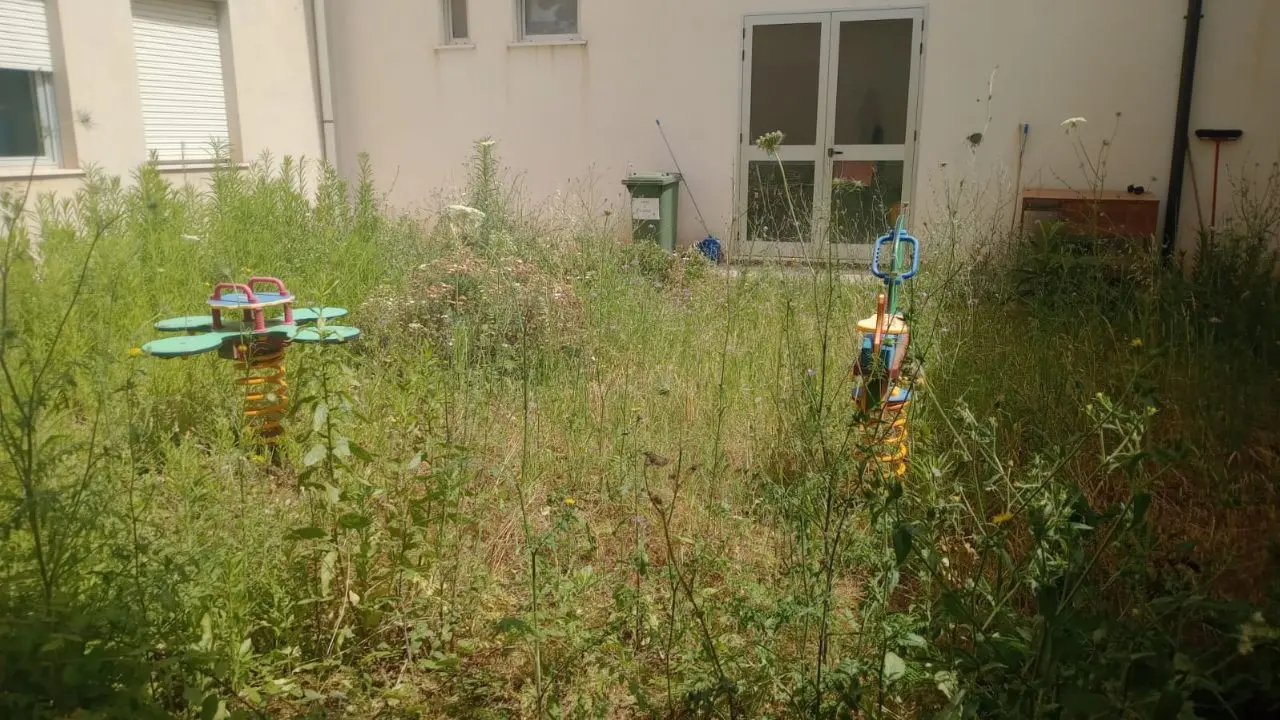 Ricadi, cortile della scuola invaso da erbacce: la recita di fine anno si fa stipati al chiuso