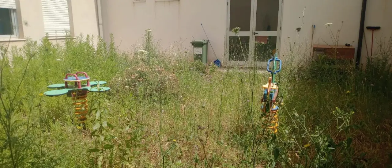 Ricadi, cortile della scuola invaso da erbacce: la recita di fine anno si fa stipati al chiuso