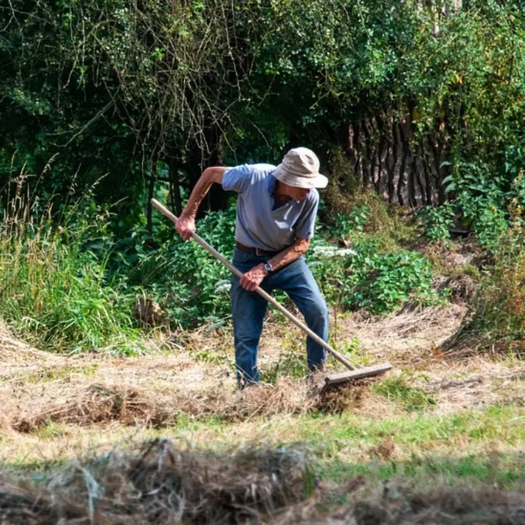 Briatico, il sindaco ordina ai privati la pulizia dei terreni abbandonati: previste multe fino a 500 euro