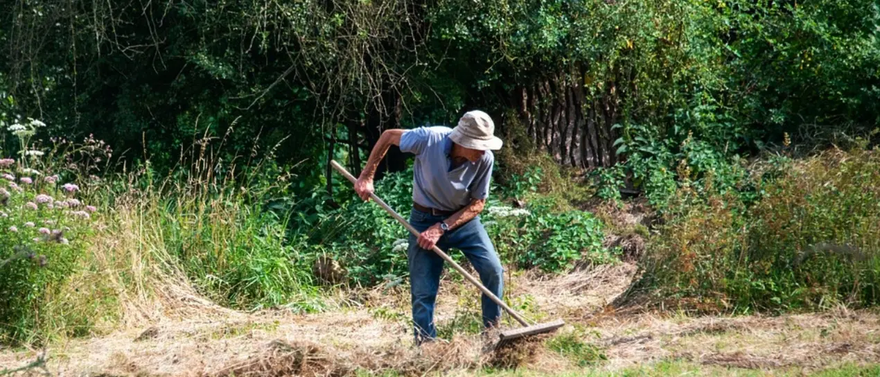 Briatico, il sindaco ordina ai privati la pulizia dei terreni abbandonati: previste multe fino a 500 euro