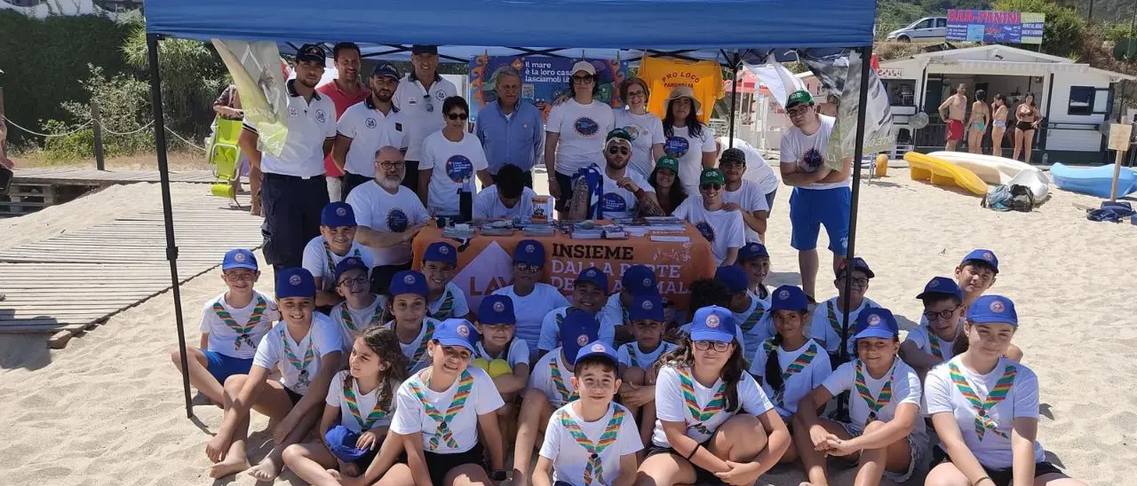 Successo in spiaggia a Parghelia per \"Il mare è la loro casa, lasciamoli liberi\"