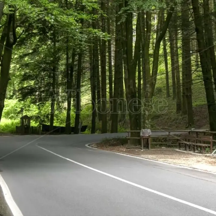 Calabria in bicicletta, parte da Serra San Bruno il rilancio della Ciclovia dei Parchi tra cultura e spiritualità - Video