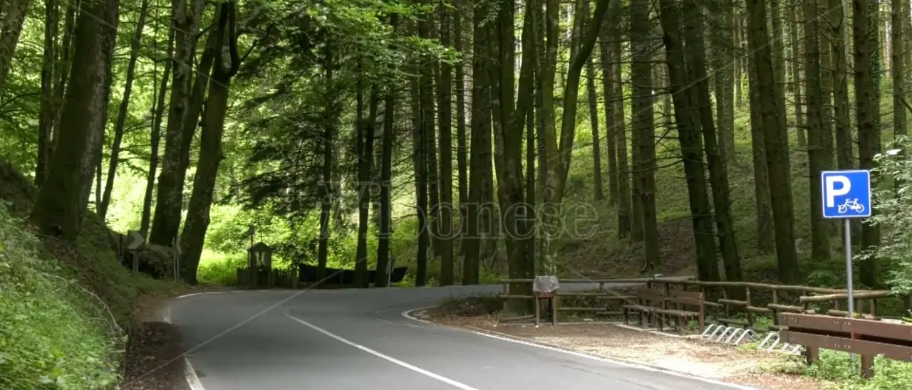 Calabria in bicicletta, parte da Serra San Bruno il rilancio della Ciclovia dei Parchi tra cultura e spiritualità - Video