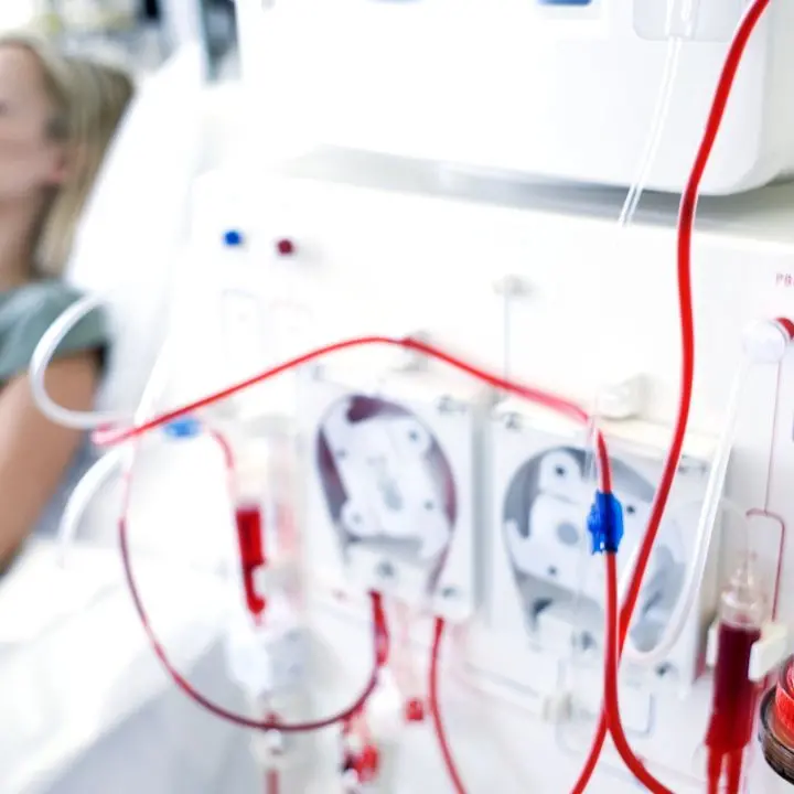 Il centro dialisi di Tropea punto di riferimento in estate per i turisti in terapia che scelgono il Vibonese: «Servizio da garantire tutto l'anno»