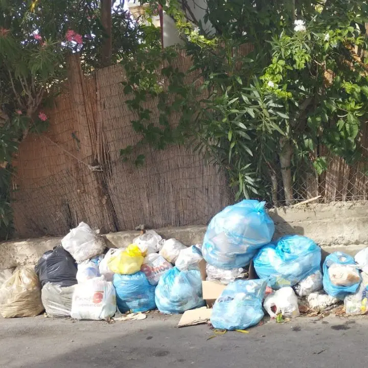 Rifiuti abbandonati in strada a Tropea, l'ex consigliere Piserà scrive ai commissari: «Intensificare i controlli»