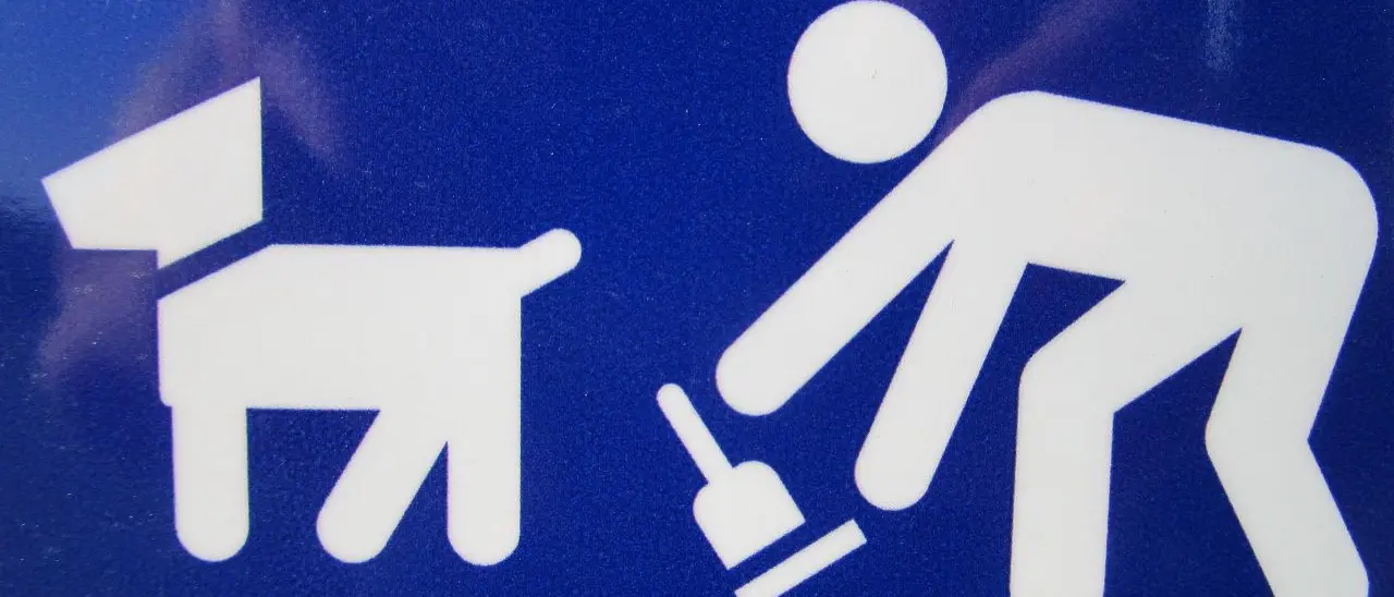 I cani fanno i cani ma alcuni padroni fanno… schifo. Il Comune di Jonadi costretto a ribadire l’obbligo di raccogliere le feci